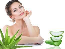 Beauty Benefits Of Aloe Vera