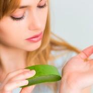 Beauty Benefits of Aloe Vera You May Keep in Mind