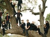 Mother Falcon: Computer