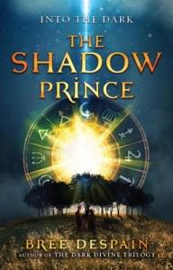 Into the Dark Book #1: The Shadow Prince By Bree Despain