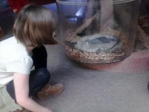 Road Schooling  – The Lake Erie Nature & Science Center