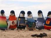 Wanted: People Knit Jumpers Penguins