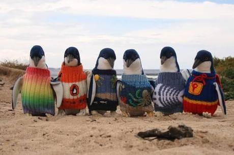 Wanted: People to knit jumpers for penguins