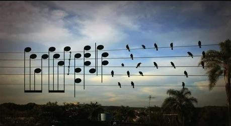 From musical birds on a wire to natural numbers controversy; string theory to theory of everything- some thoughts