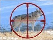 Killing Wolves: A Hunter-Led War Against Science and Willdife