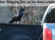 When Blogging Flies Damn Window…