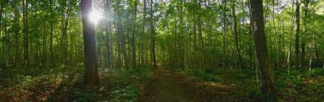 Nova Scotia national park hiking trail