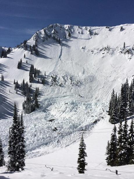 A 25 lb explosive charge set off this avalanche on the Throne and demolished Chair 6 at Crystal.