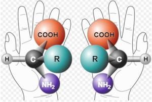 alanine enantiomers