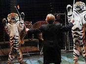 Russia Moves Protect Entertainment Animal Abuse