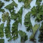 Brilliant Brussel Top & Kale Crisps