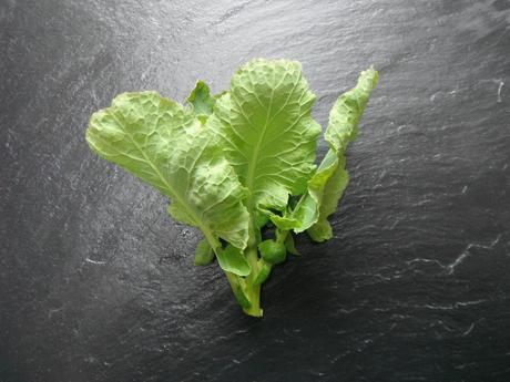 Brilliant Brussel Top & Kale Crisps