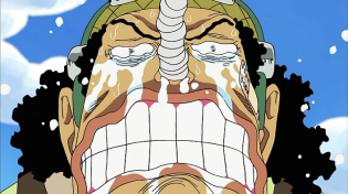 One Piece Season 5 Voyage 5