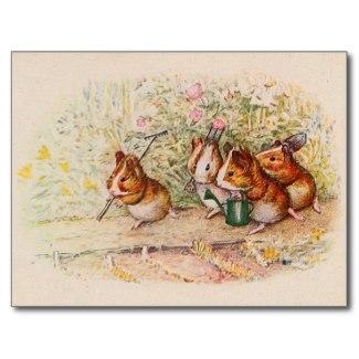 Guinea Pigs Planting in the Garden Postcards