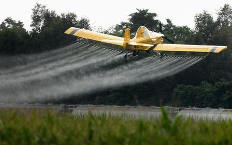 Agent Orange from farm to table  | Al Jazeera America