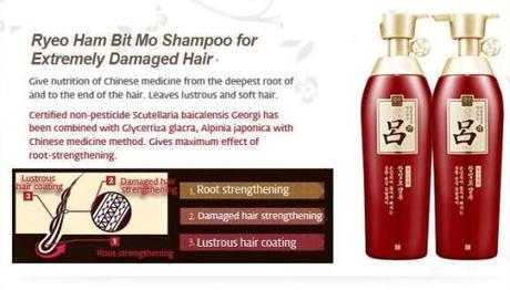 Ryeo HamBitMo Shampoo 2