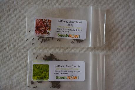 Starting seeds indoors