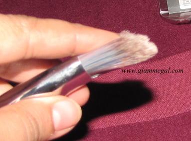 VEGA FOUNDATION BRUSH INDIA REVIEW