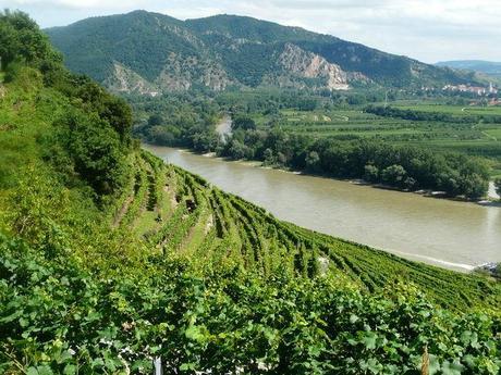 Notaviva Vineyards Hosts Melodies of the Danube 2015 - a European River Cruise