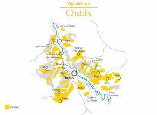 Learning about Chablis - the Wine and Region - with Pure Chablis