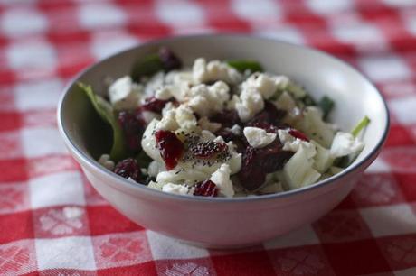 Fennel Craisin Salad