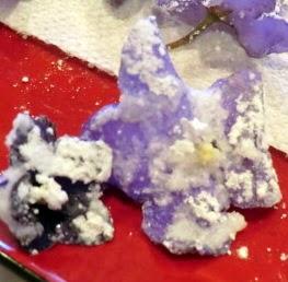 Candied Violets and KnitWits