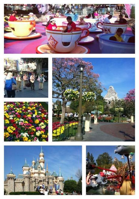 Disneylandcollage1