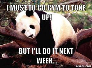 resized_procrastination-panda-meme-generator-i-must-to-go-gym-to-tone-up-but-i-ll-do-it-next-week-dc0a68