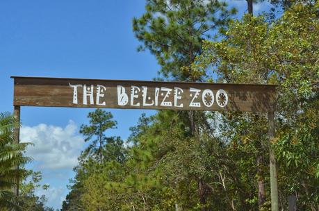 Belize Jungle Expeditions: An Unforgettable Time