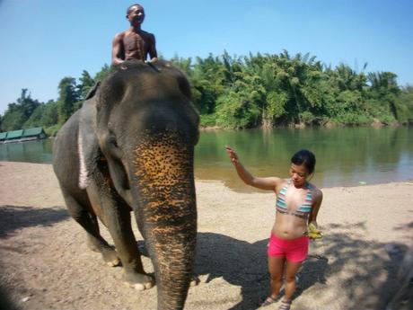 elephants near full moon party