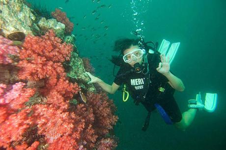 Phuket diving