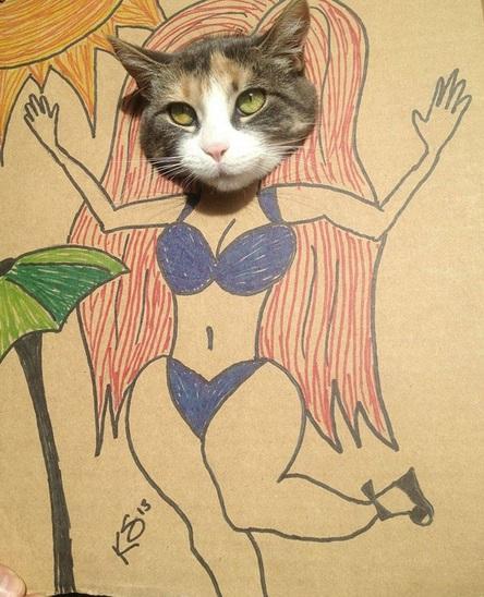 The World’s Top 10 Best Images of Cardboard cat art