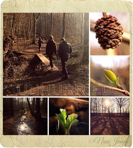 Finds in the Forest {Phone Snapshots}