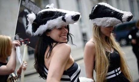 England:  MP’s Vote 219 to 1 Against Further Badger Killing – But Will Cameron and The Government Listen To All The Expert Advice Or Simply Do As They Wish ?