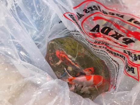 What's In The Box? What's In The Box?