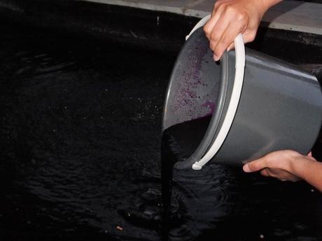 What's In The Box? What's In The Box?