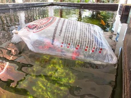 What's In The Box? What's In The Box?