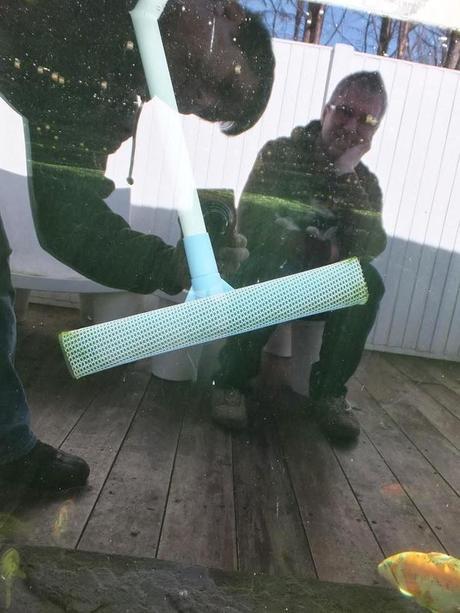 What's In The Box? What's In The Box?