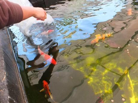 What's In The Box? What's In The Box?