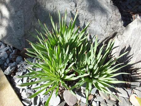 What's In The Box? What's In The Box?