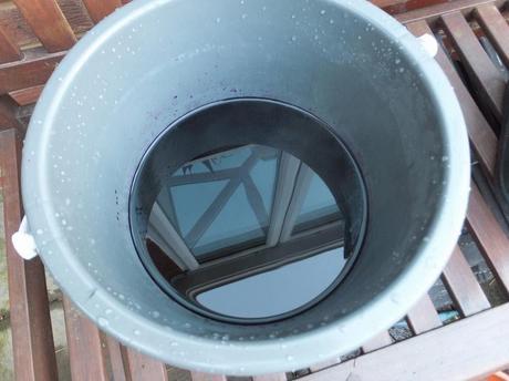 What's In The Box? What's In The Box?