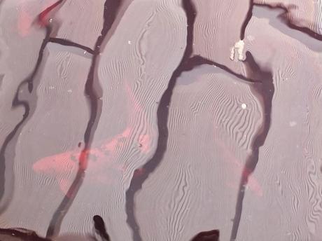 What's In The Box? What's In The Box?