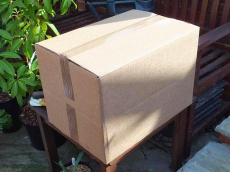What's In The Box?