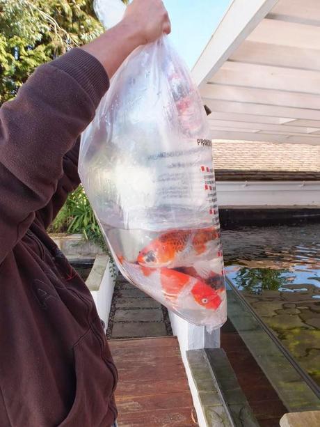 What's In The Box? What's In The Box?