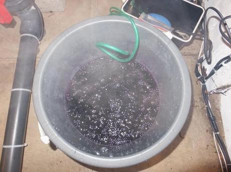 What's In The Box? What's In The Box?