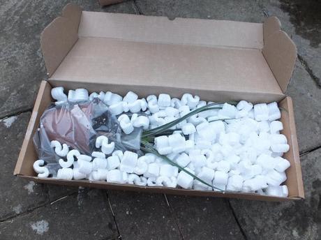 What's In The Box? What's In The Box?