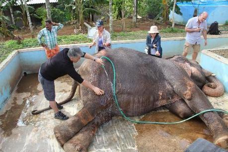 JAPAN PLANS TO COOPERATE WITH KERALA IN TOURISM AND IT