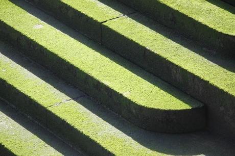 In & Around London: Green London