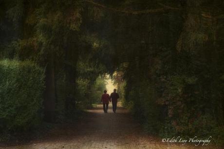 Toronto, Ward Island, path, mist, fog, walkers, romantic, city island,