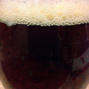 lazy magnolia-souther pecan-brown ale-beer-closeup_web